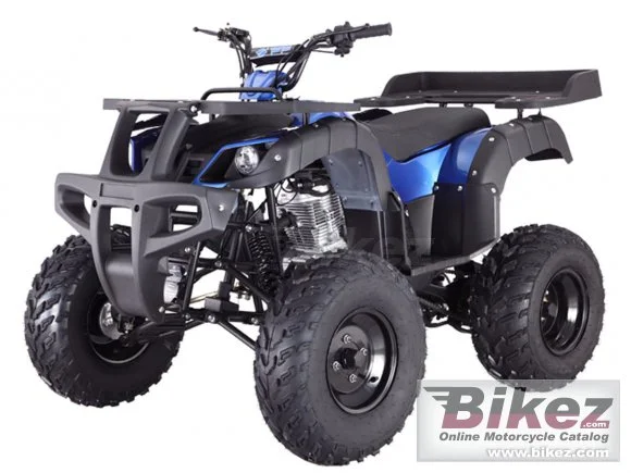 Tao Motor Rhino 250 2022