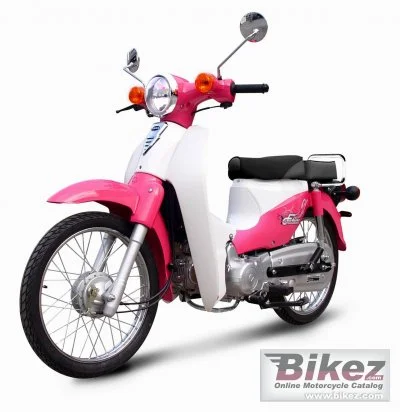 Tiger Future 110 2012