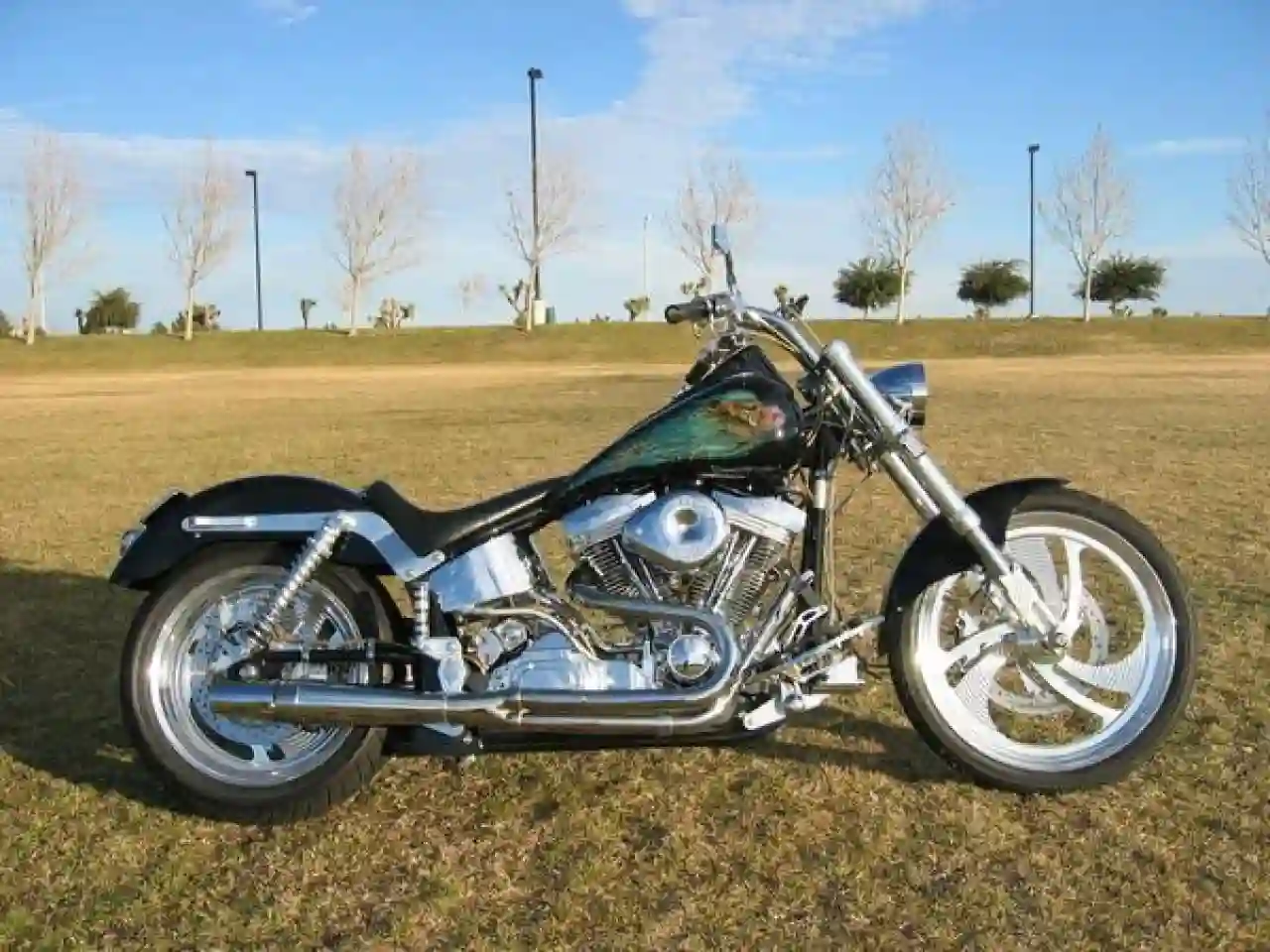 Titan Gecko RM Stretch 2007