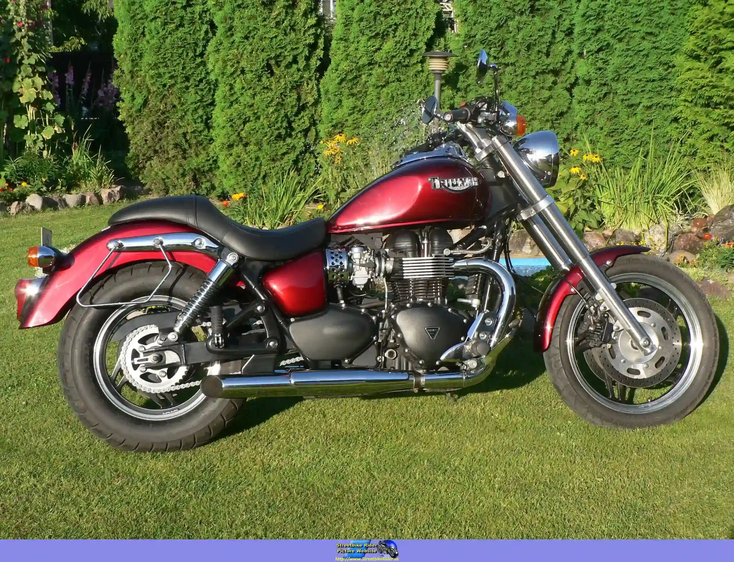Triumph Speedmaster 2007