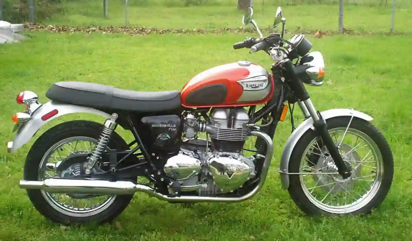 Triumph T100 2002