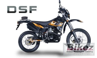 UM DSF 159 2010