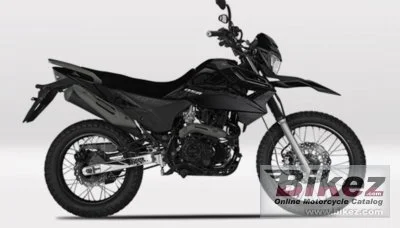UM DSR 125 2021