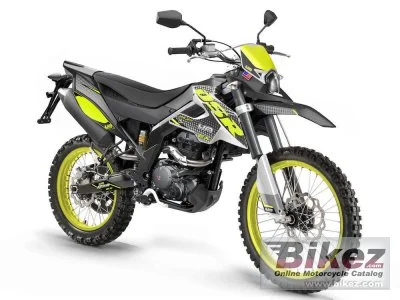 UM DSR 125 EX 2023