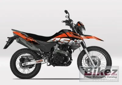 UM DSR 200 2021