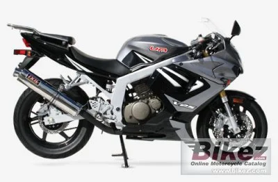 UM V2S 650 R 2006