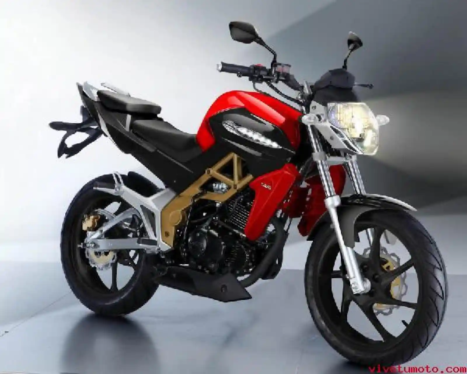 UM Xtreet 200 2010