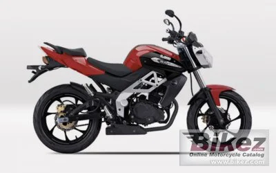 UM Xtreet 230 R 2021