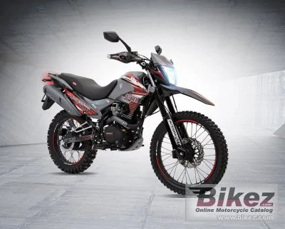 Veloci Defender Dynamic Tech 200 2020