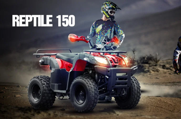 Vento Reptile 150 2017