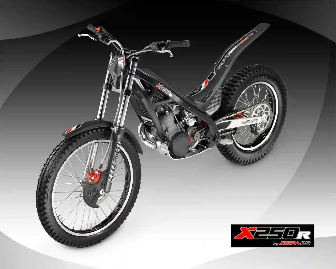 Xispa 25.Com 2010