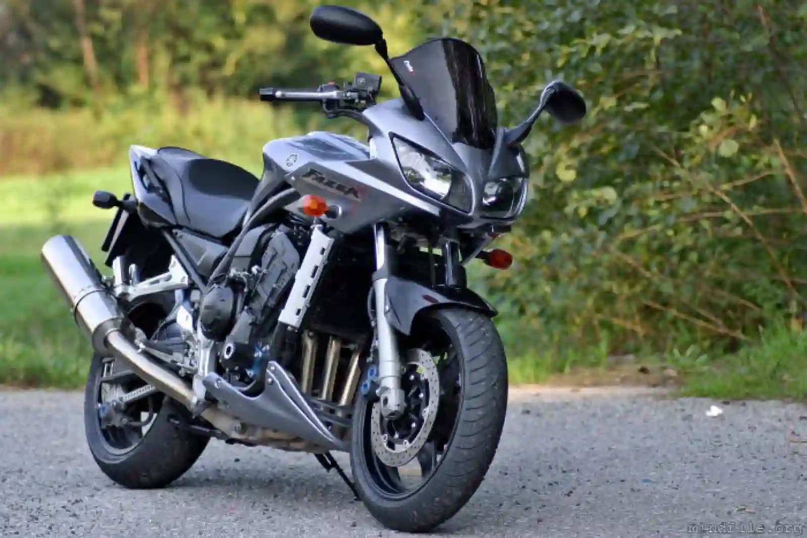 Yamaha FZS 1000 Fazer 2004