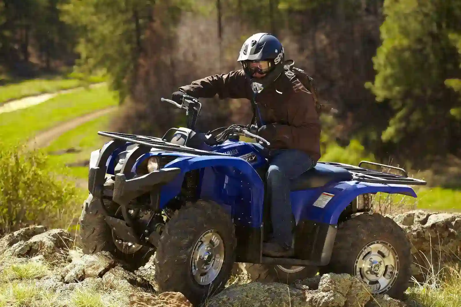 Yamaha Grizzly 450 Auto 4X4 EPS 2012