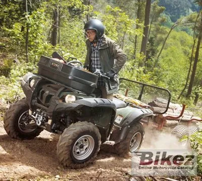 Yamaha Grizzly 700 EPS WTHC 2019