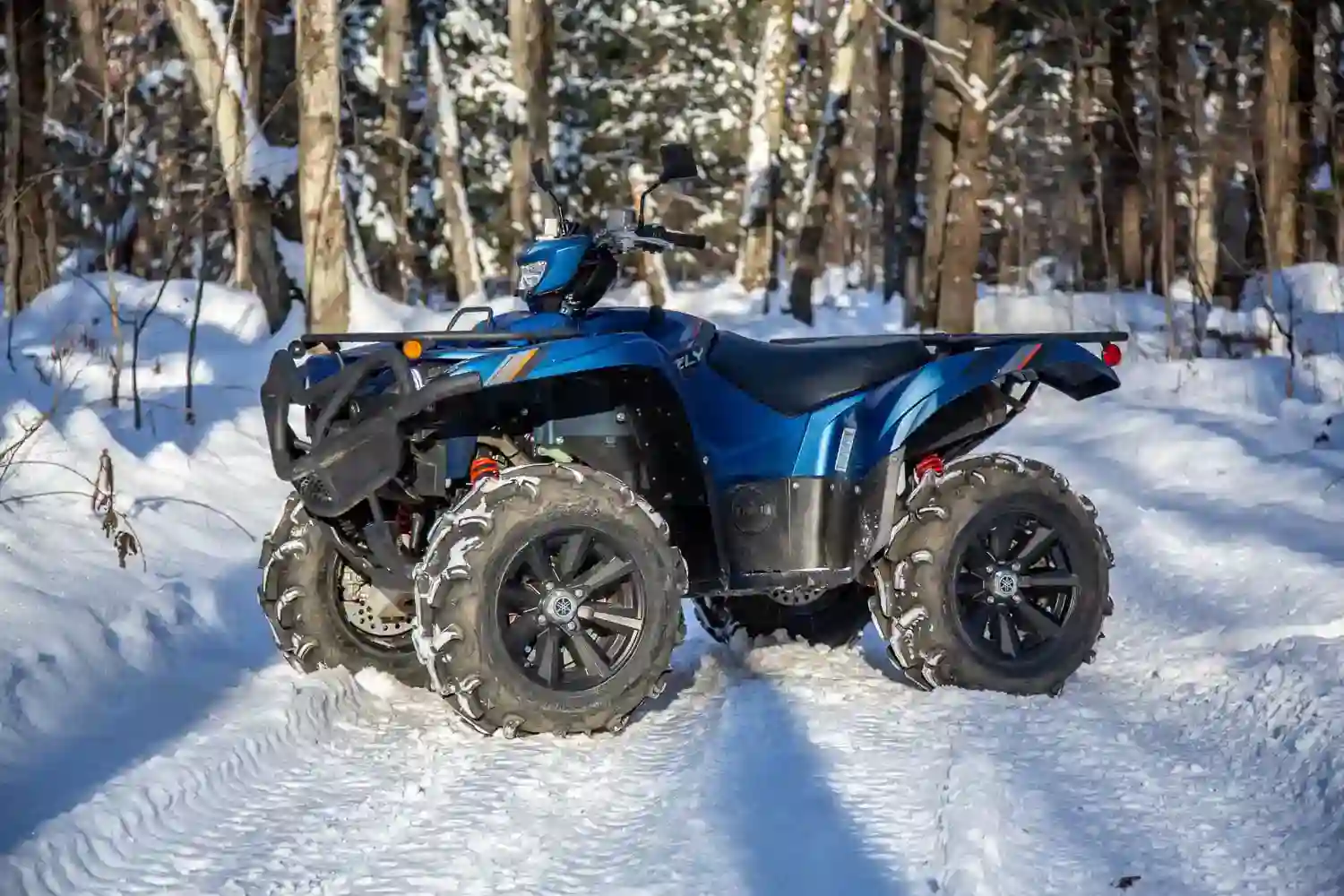 Yamaha Grizzly EPS SE 2019
