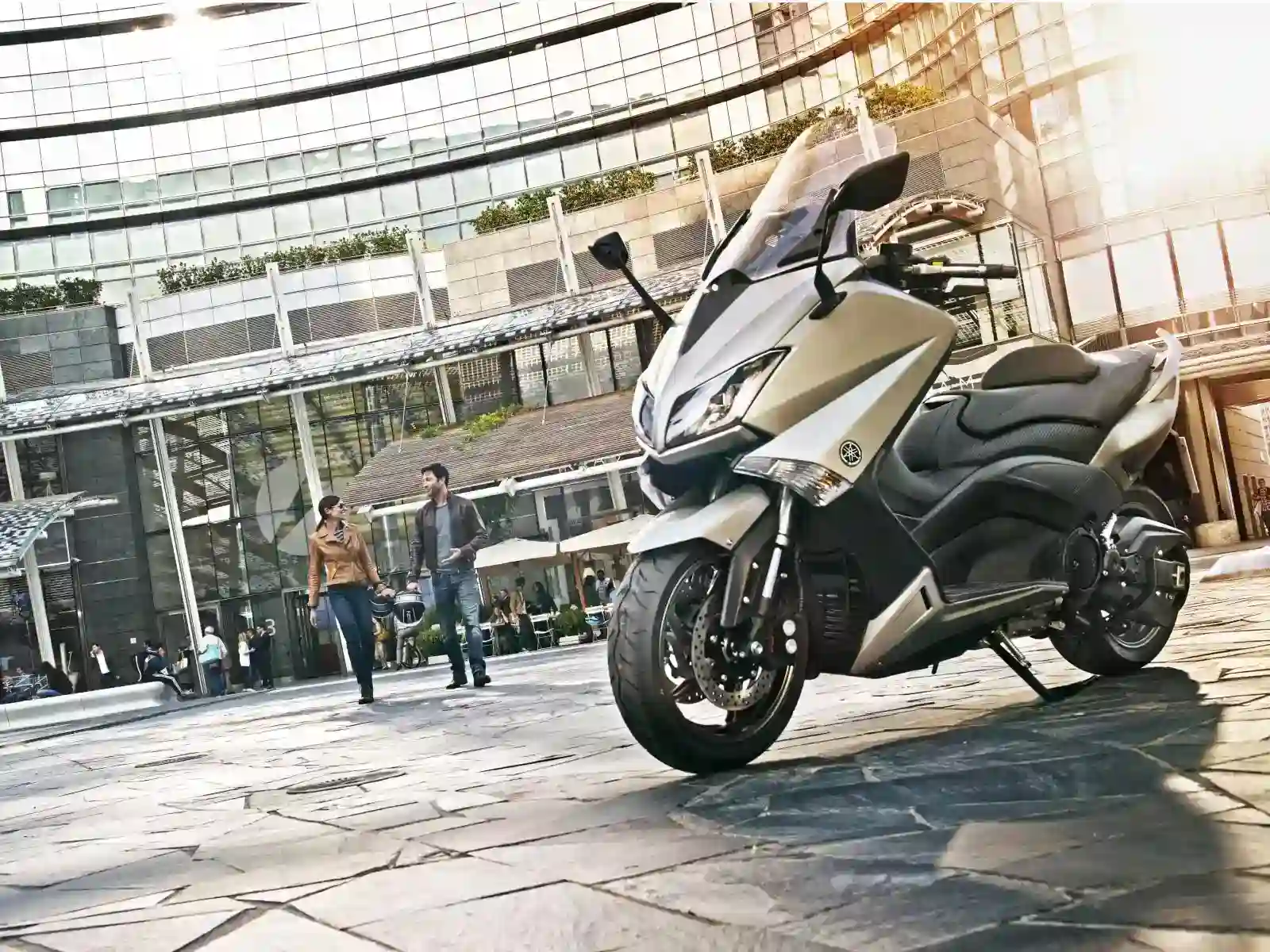 Yamaha Iron Max 2015