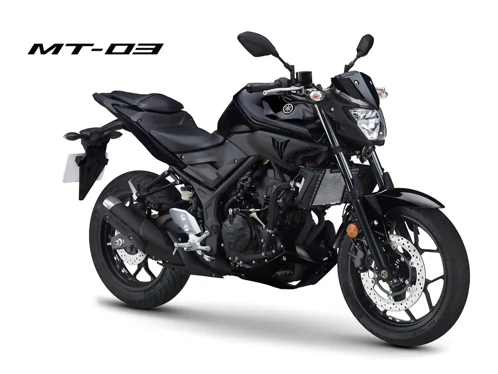 Home 1 Yamaha MT 03 2017