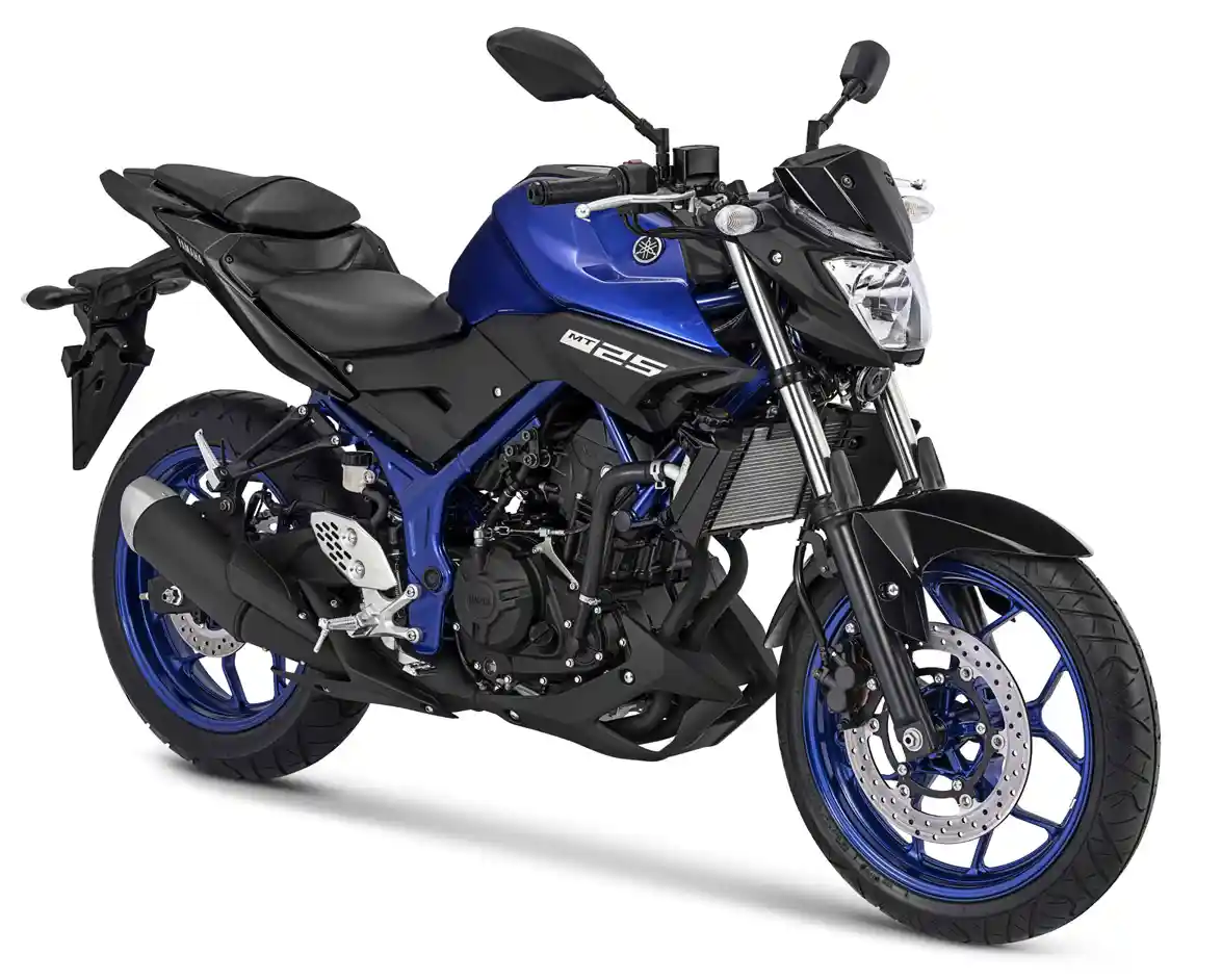 Home 3 Yamaha MT 25 2017
