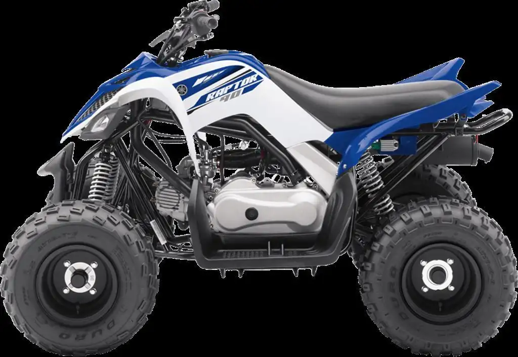 Home 3 Yamaha Raptor 90 2018