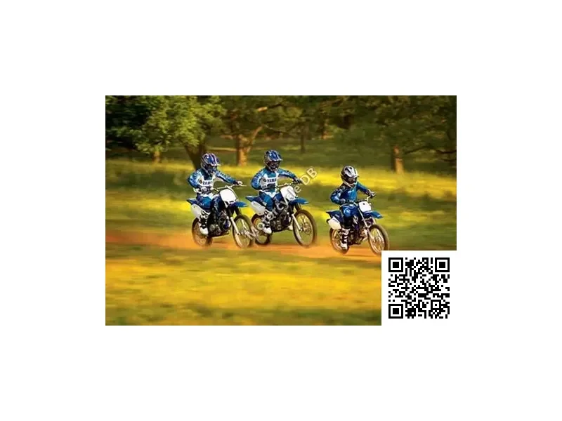 Yamaha TT R 125 E 2006