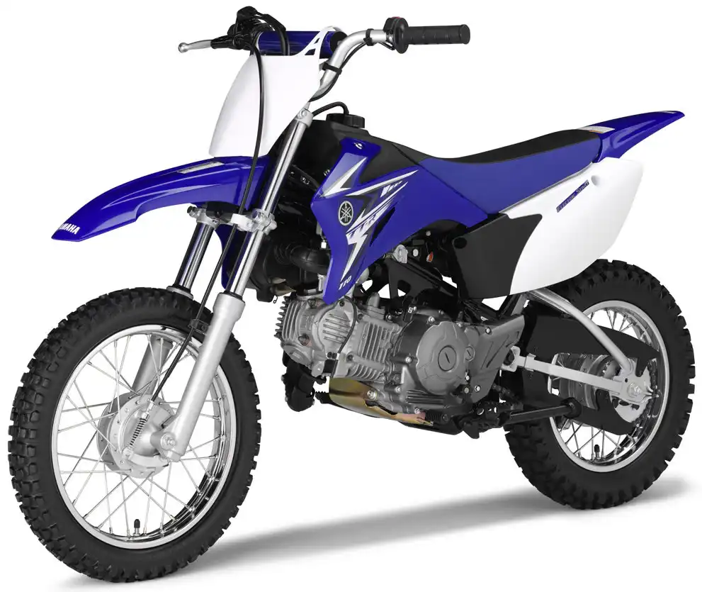 Yamaha TT R110E 2009