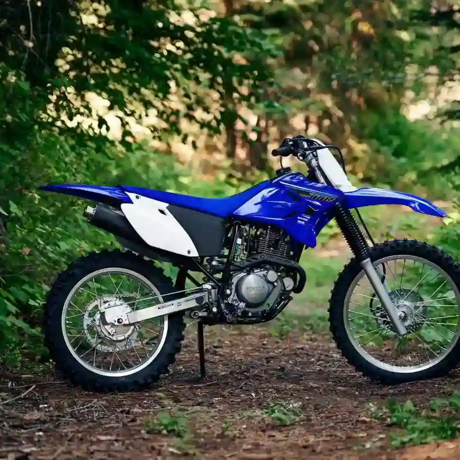 Yamaha TT R230 2021