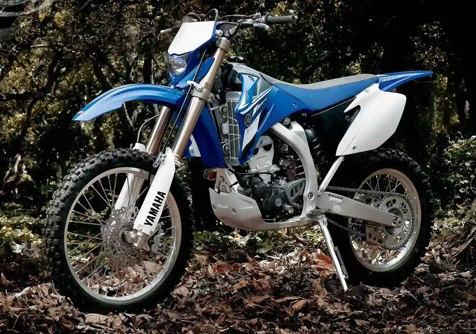 Yamaha WR250F 2008