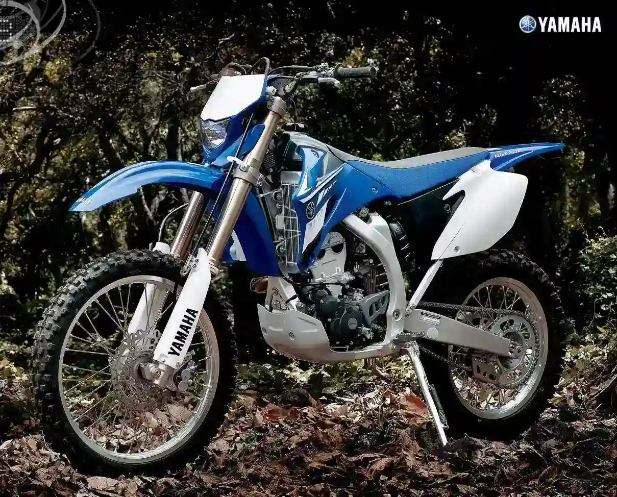 Yamaha WR250F 2009