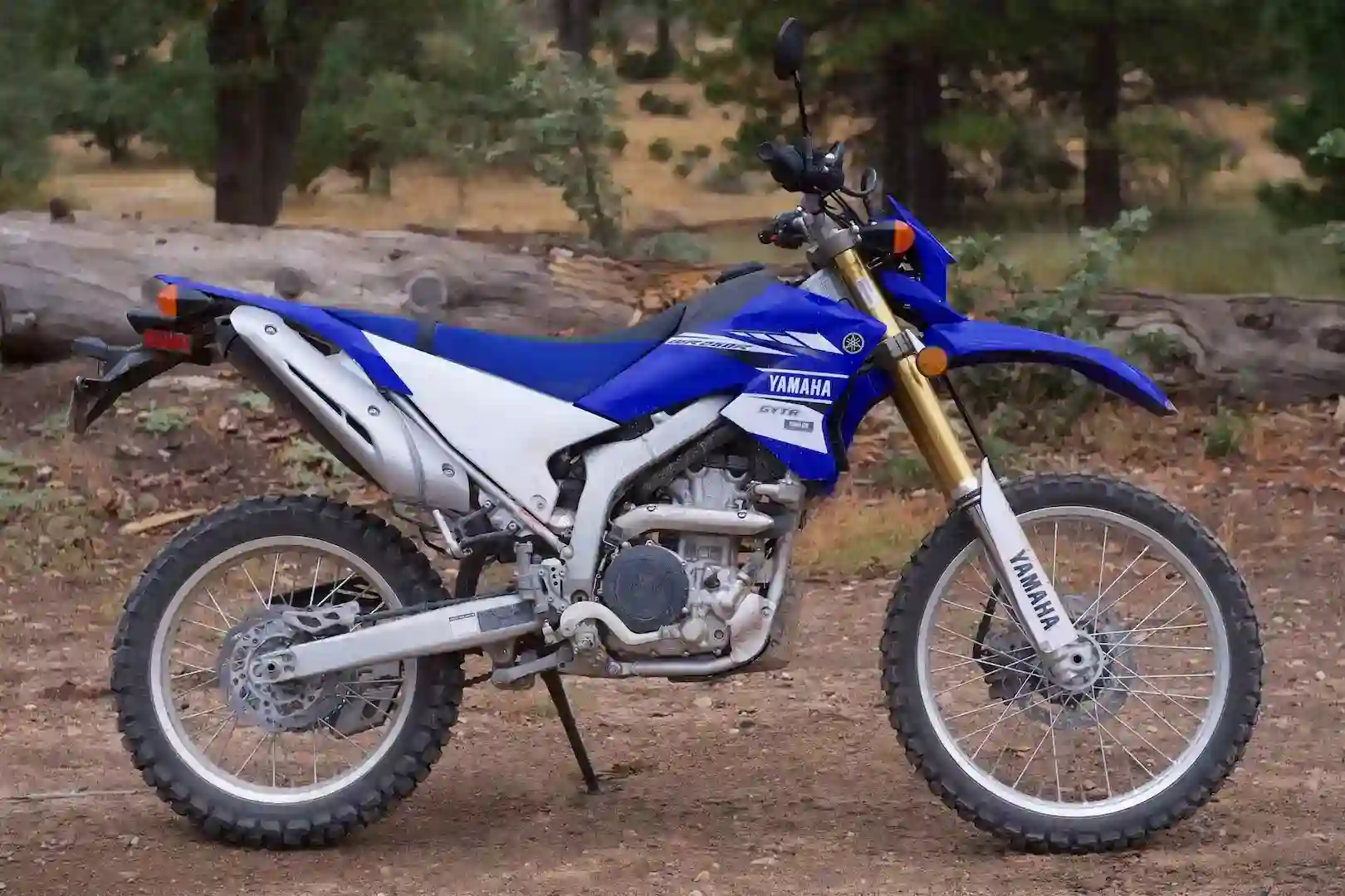 Home 1 Yamaha WR250R 2017