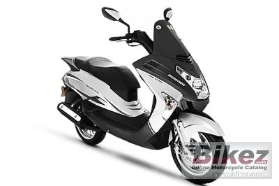 Znen King 2014