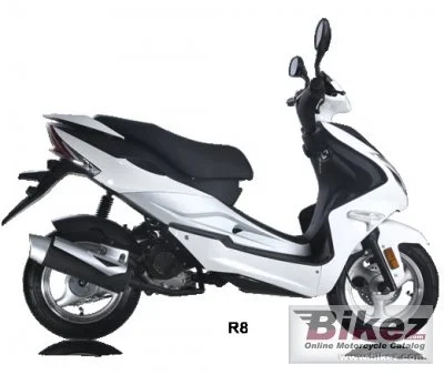 Znen R8 2013